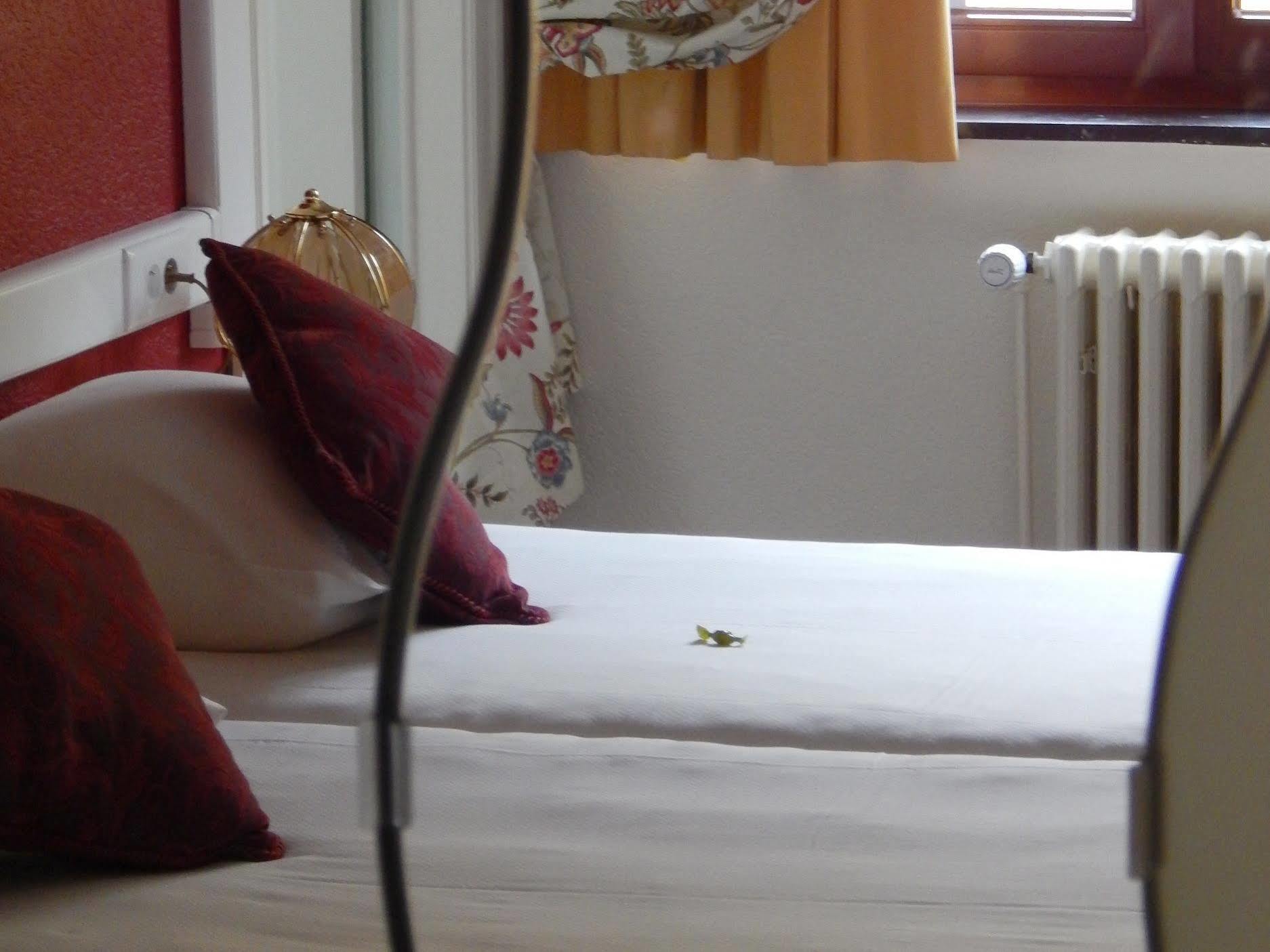 Hostellerie Beau Site Trois-Ponts Kültér fotó